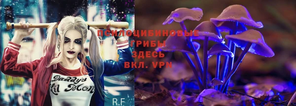 твердый Карталы
